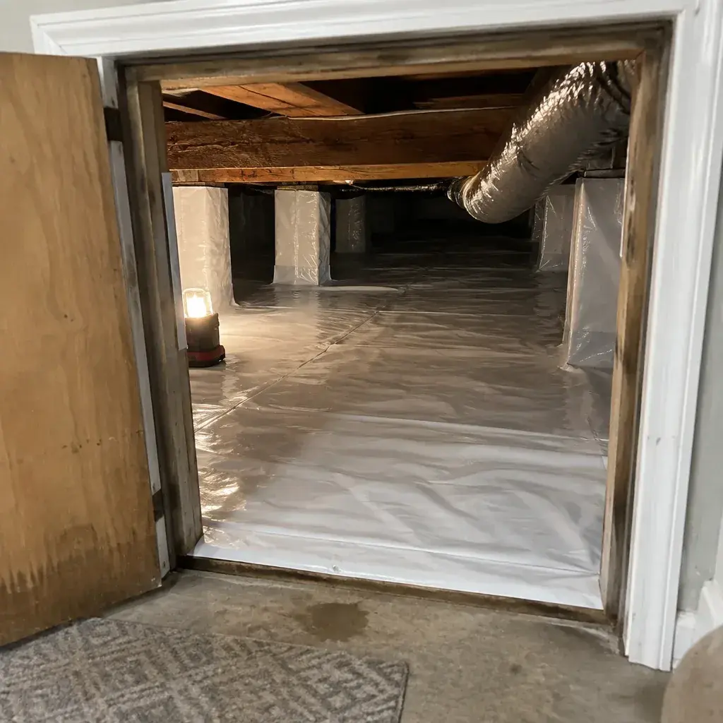 Crawl Space Sewage Cleanup service in Minnesota